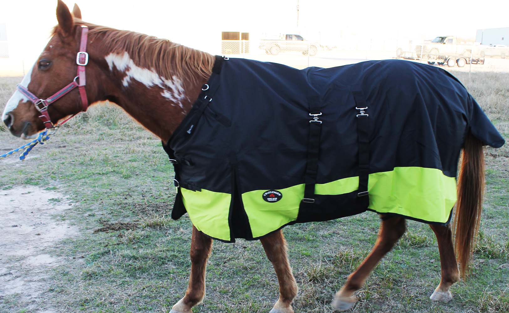 1200D taux de participation Cheval Feuille Léger Hiver Couverture 344B