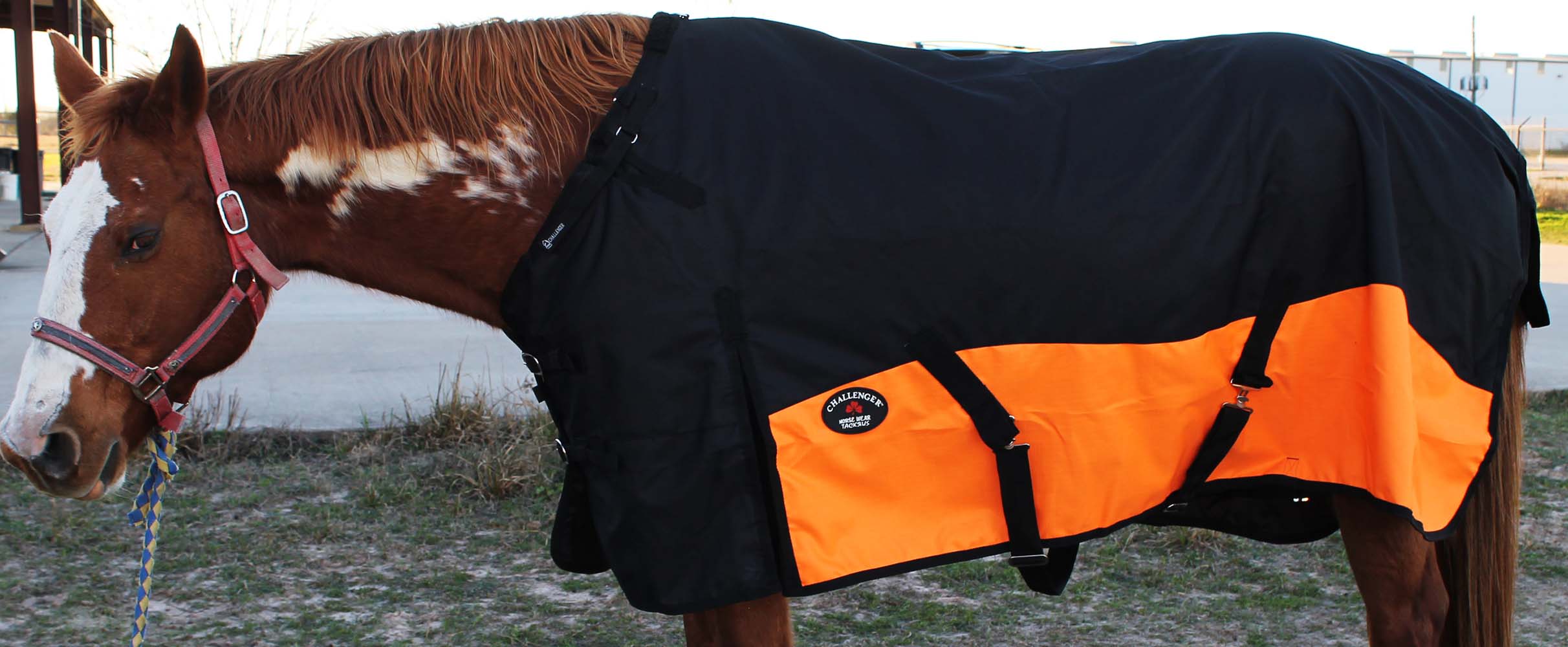 1200D Turnout Waterproof Rain Horse SHEET Light Winter Blanket Gusset