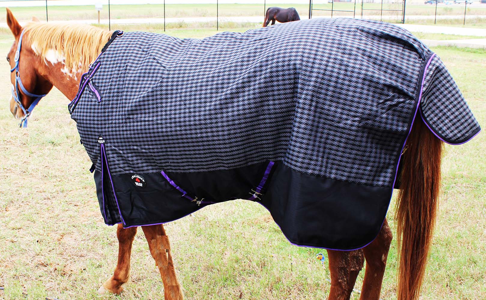 78" 1200D Turnout Waterproof Horse WINTER BLANKET HEAVY Lot of 5 eBay