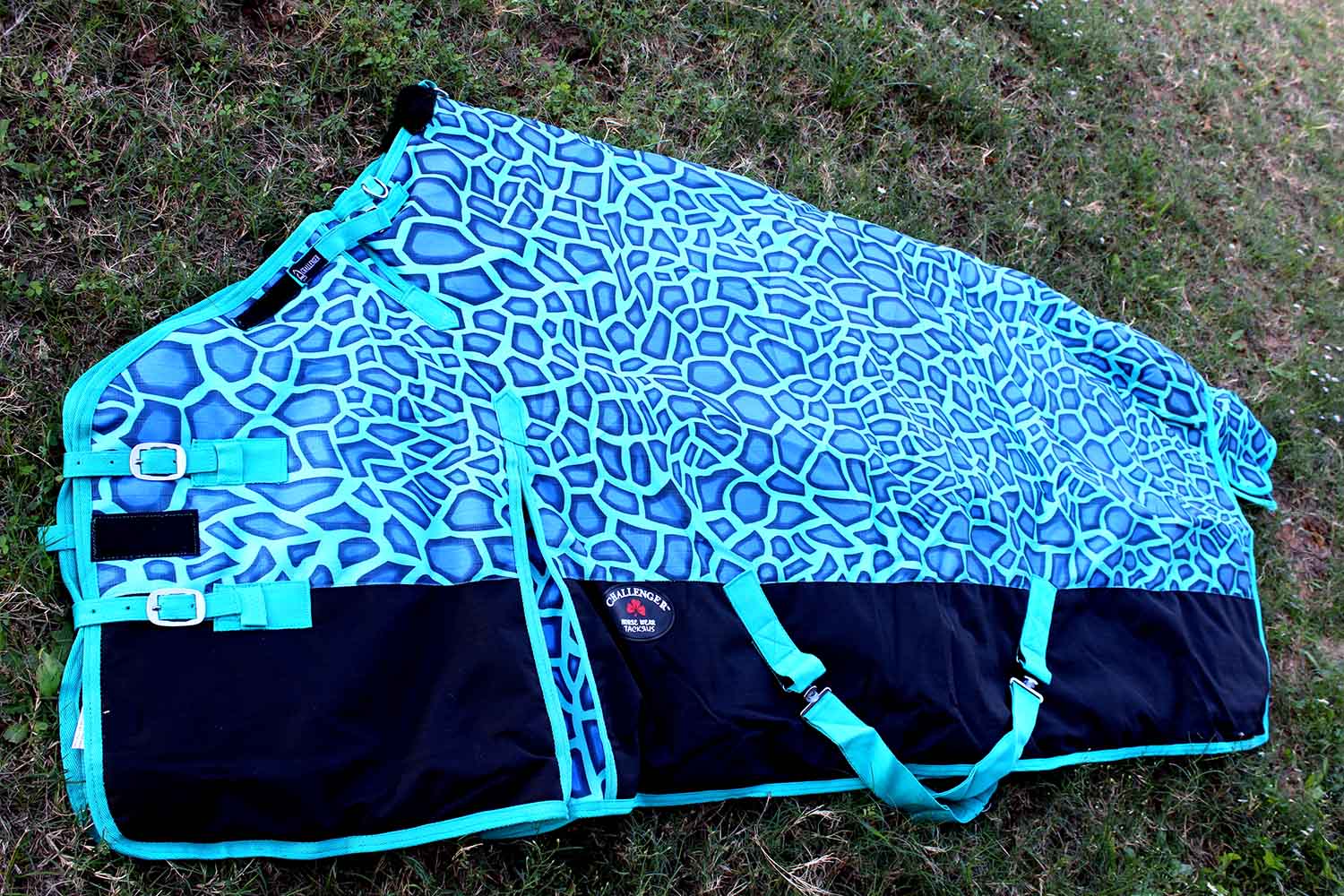 1200D Turnout Waterproof Horse WINTER BLANKET HEAVY WEIGHT Turquoise