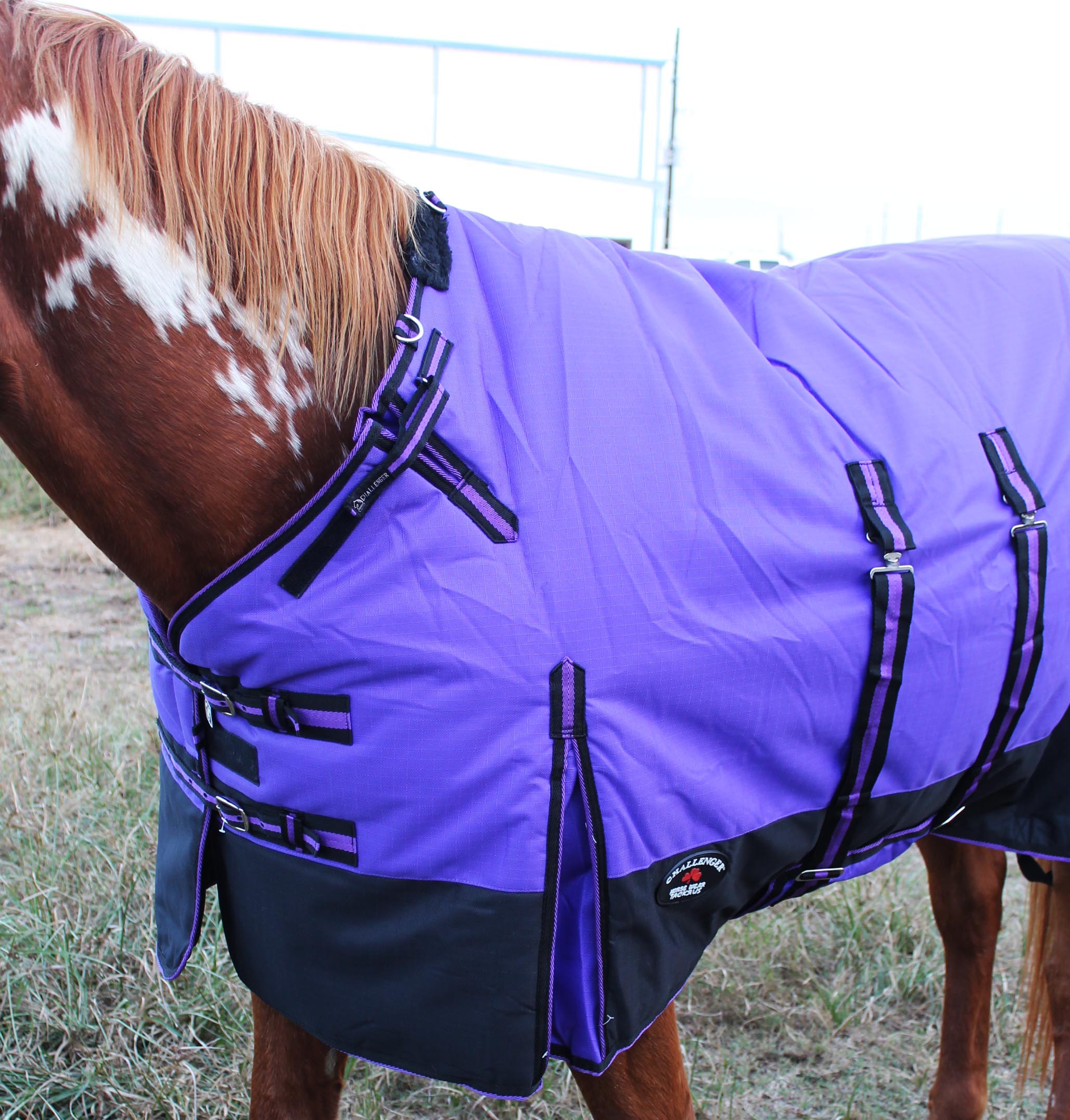 1200D Turnout Waterproof Horse Tough WINTER BLANKET HEAVY BellyBand eBay