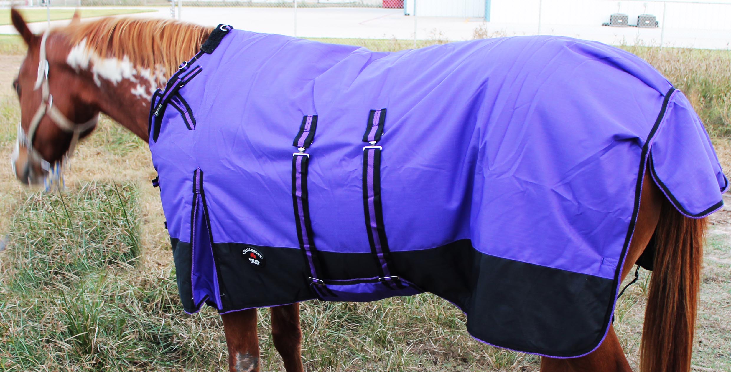 1200D Turnout Waterproof Horse WINTER BLANKET HEAVY 511B eBay