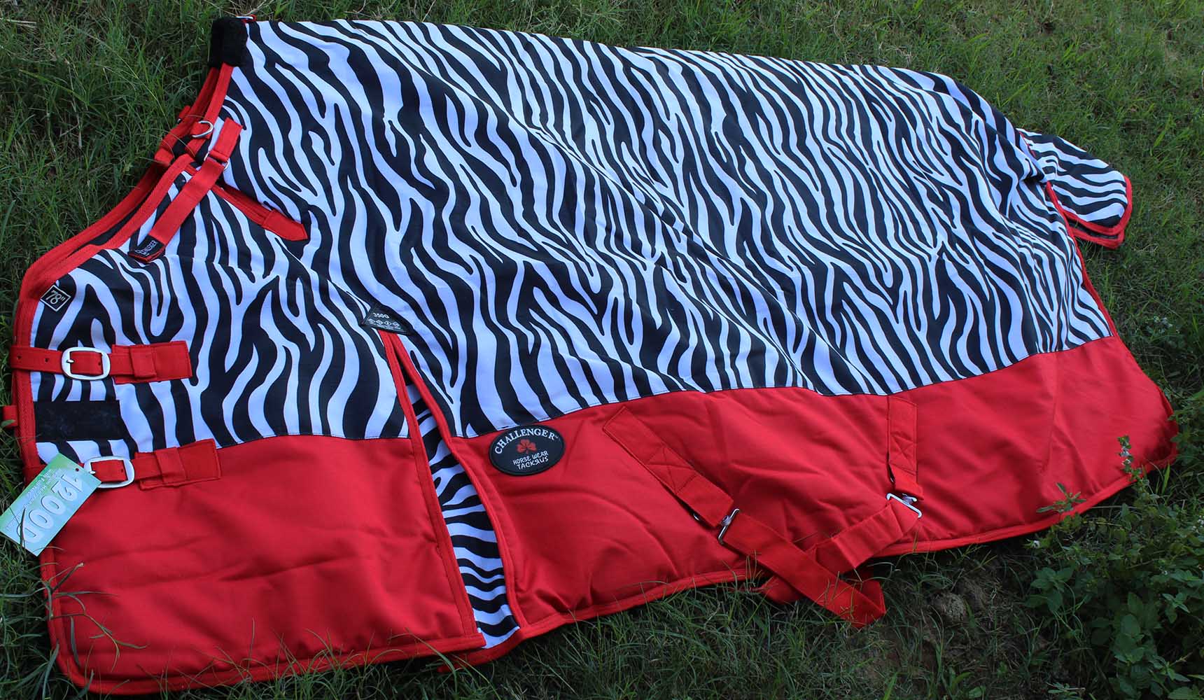 The 10 Best Warm Blankets for Winter. eBay. Views 4 Likes Comments Comment TheseThe 10 Best Warm Blankets for Winter. eBay. Views 4 Likes Comments Comment Theseblanketsare known for being very warm,The 10 Best Warm Blankets for Winter. eBay. Views 4 Likes Comments Comment TheseThe 10 Best Warm Blankets for Winter. eBay. Views 4 Likes Comments Comment Theseblanketsare known for being very warm,heavy, long-lasting, and affordable.