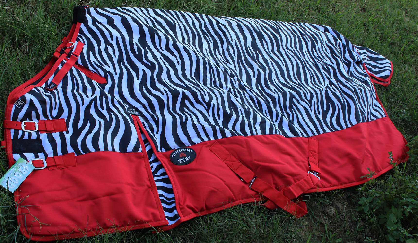 The 10 Best Warm Blankets for Winter. eBay. Views 4 Likes Comments Comment TheseThe 10 Best Warm Blankets for Winter. eBay. Views 4 Likes Comments Comment Theseblanketsare known for being very warm,The 10 Best Warm Blankets for Winter. eBay. Views 4 Likes Comments Comment TheseThe 10 Best Warm Blankets for Winter. eBay. Views 4 Likes Comments Comment Theseblanketsare known for being very warm,heavy, long-lasting, and affordable. The 10 Best Warm Blankets for Winter. eBay. Views 4 Likes Comments Comment TheseThe 10 Best Warm Blankets for Winter. eBay. Views 4 Likes Comments Comment Theseblanketsare known for being very warm,The 10 Best Warm Blankets for Winter. eBay. Views 4 Likes Comments Comment TheseThe 10 Best Warm Blankets for Winter. eBay. Views 4 Likes Comments Comment Theseblanketsare known for being very warm,heavy, long-lasting, and affordable.