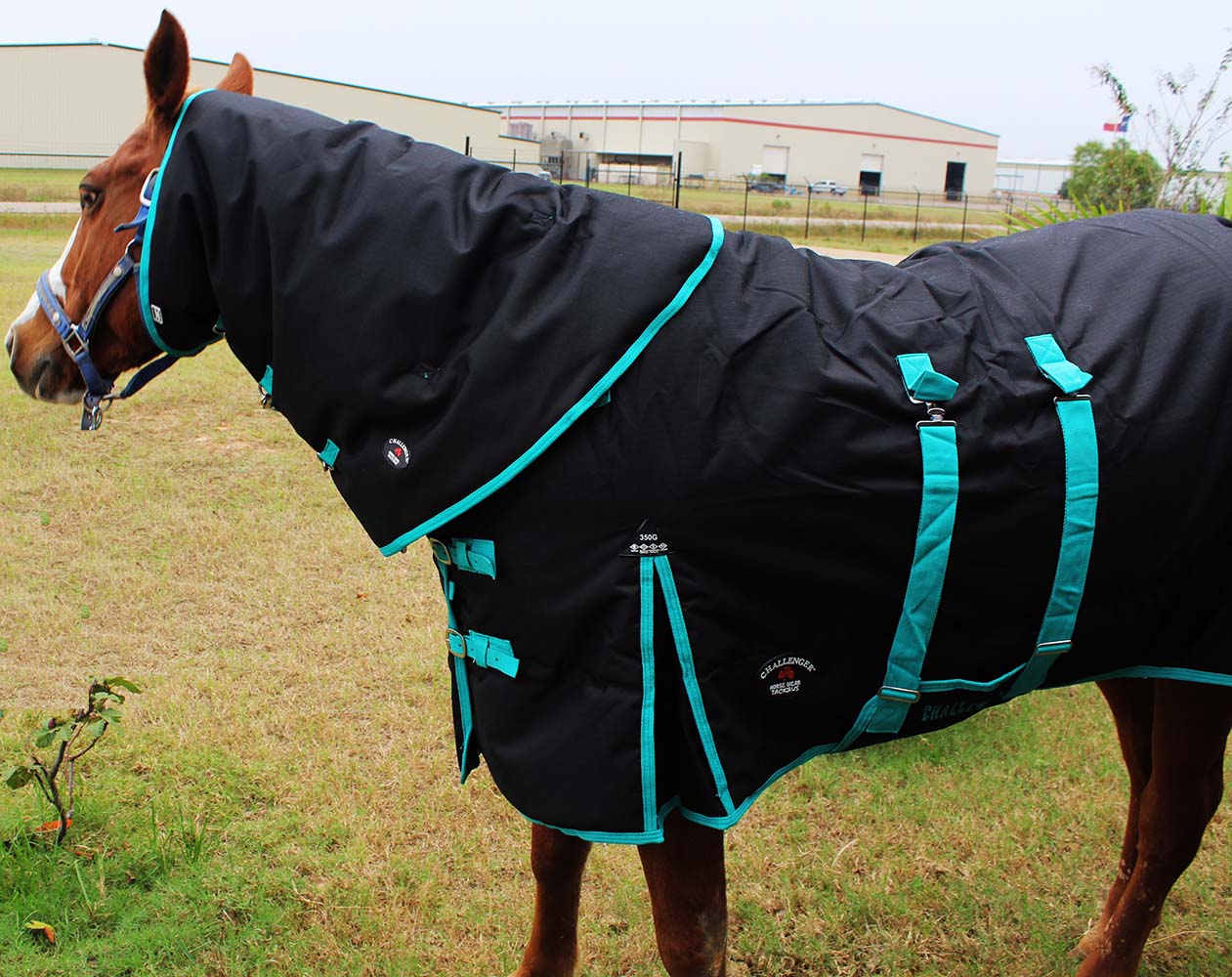 1200D Turnout Waterproof Horse Winter Blanket Heavy Neck Cover eBay
