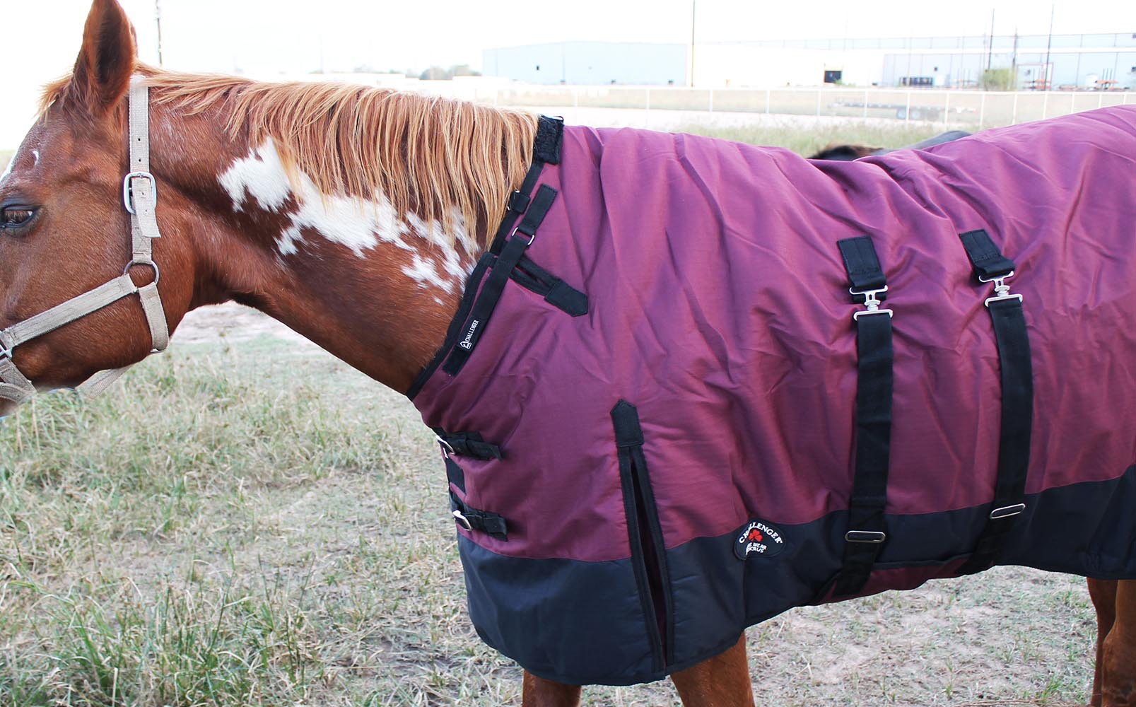 1200D Turnout Waterproof Horse Tough WINTER BLANKET HEAVY BellyBand eBay