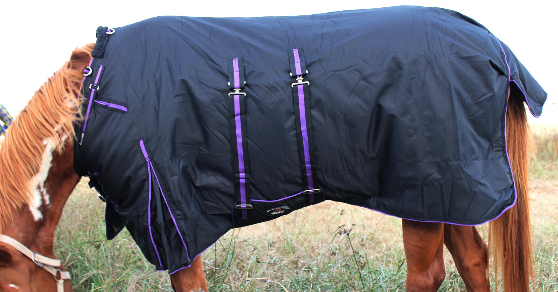 1200D Turnout Waterproof Horse Tough WINTER BLANKET HEAVY BellyBand eBay