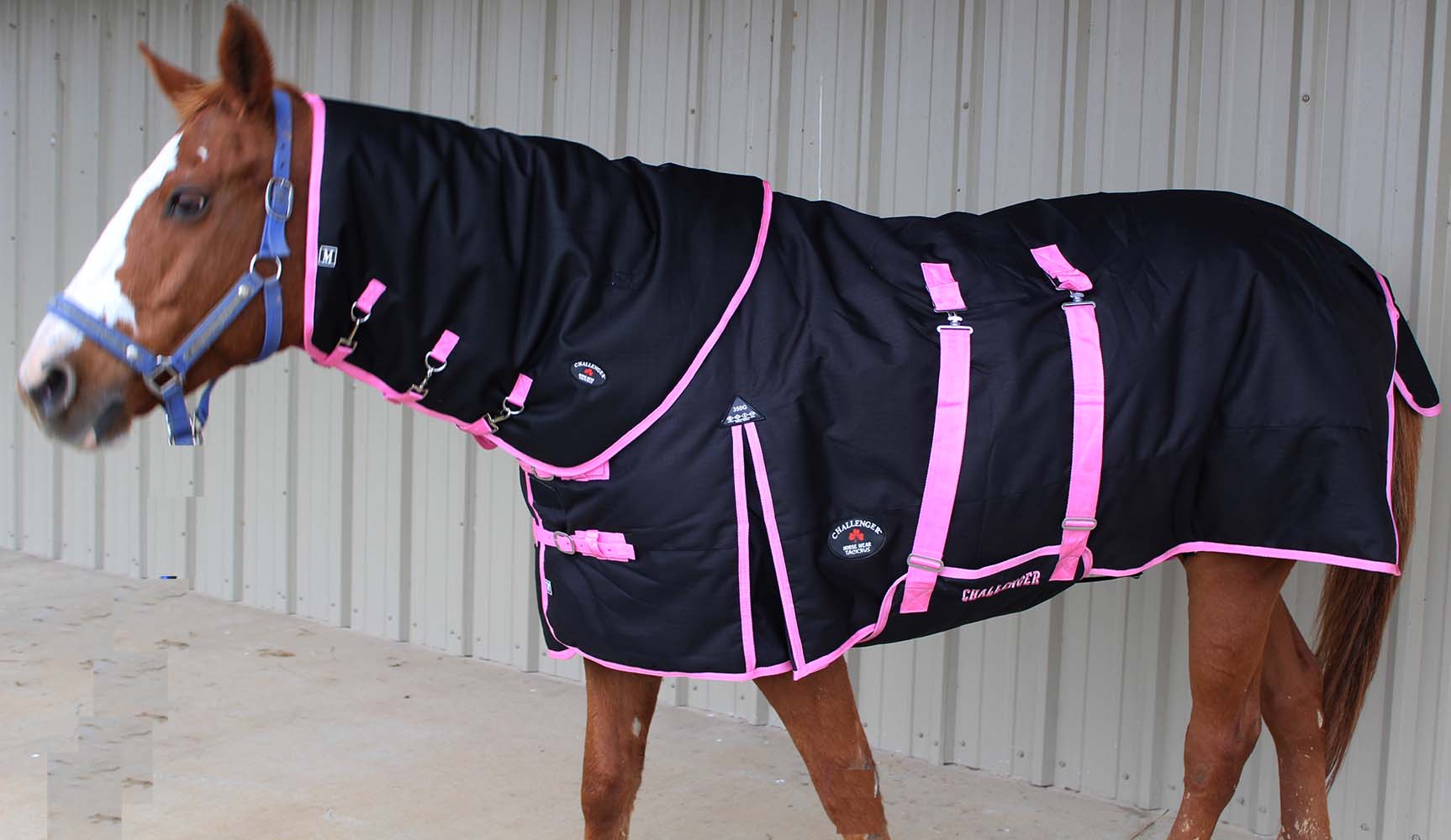 1200D Turnout Waterproof Horse Winter Blanket Heavy Neck Cover eBay