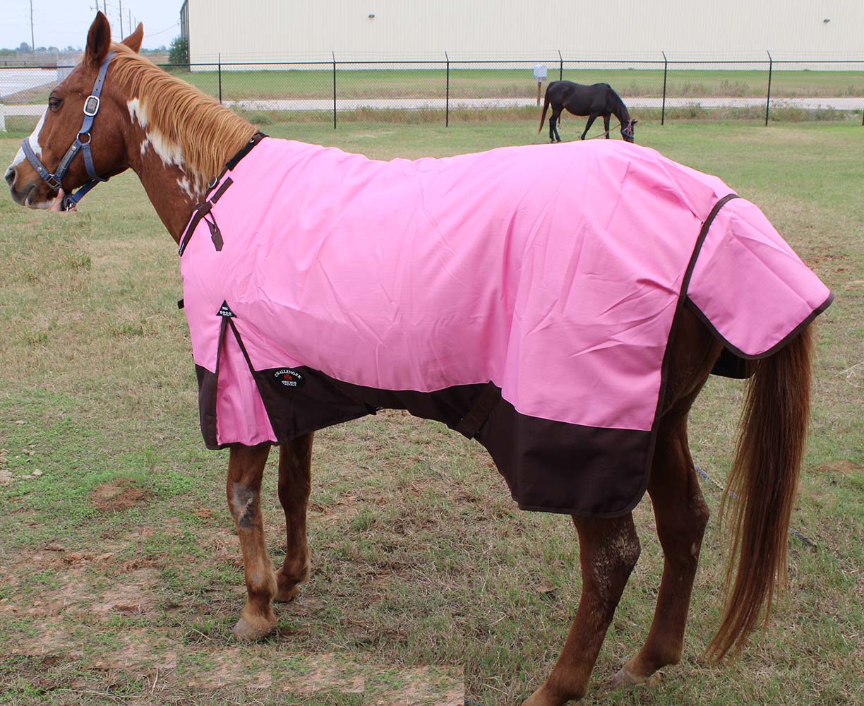 78" 1200D Turnout Waterproof Horse WINTER BLANKET HEAVY Pink 570G eBay