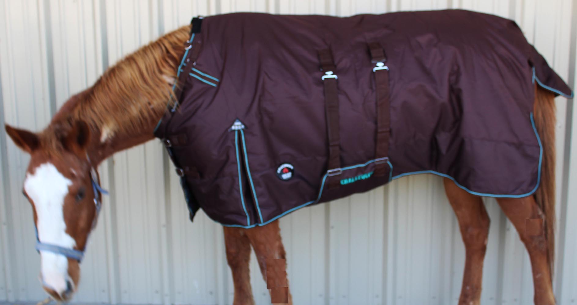 1200D Turnout Waterproof Horse WINTER BLANKET HEAVY Belly Band 572B eBay