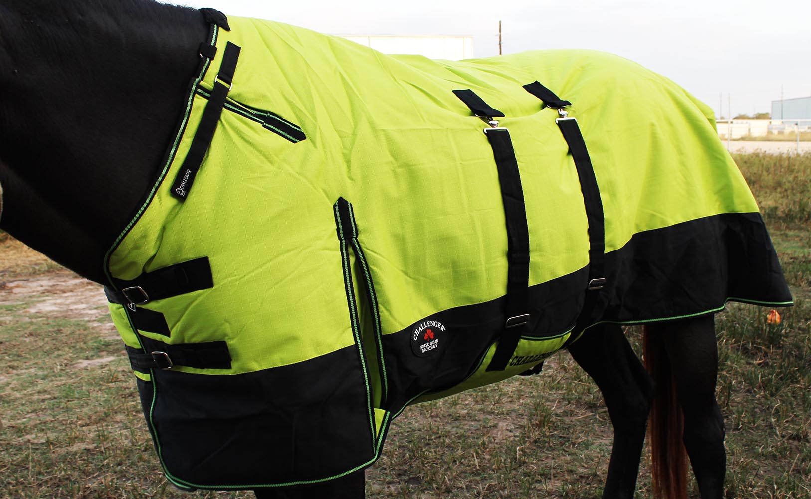 1200D Turnout Waterproof Horse WINTER BLANKET HEAVY 511B eBay