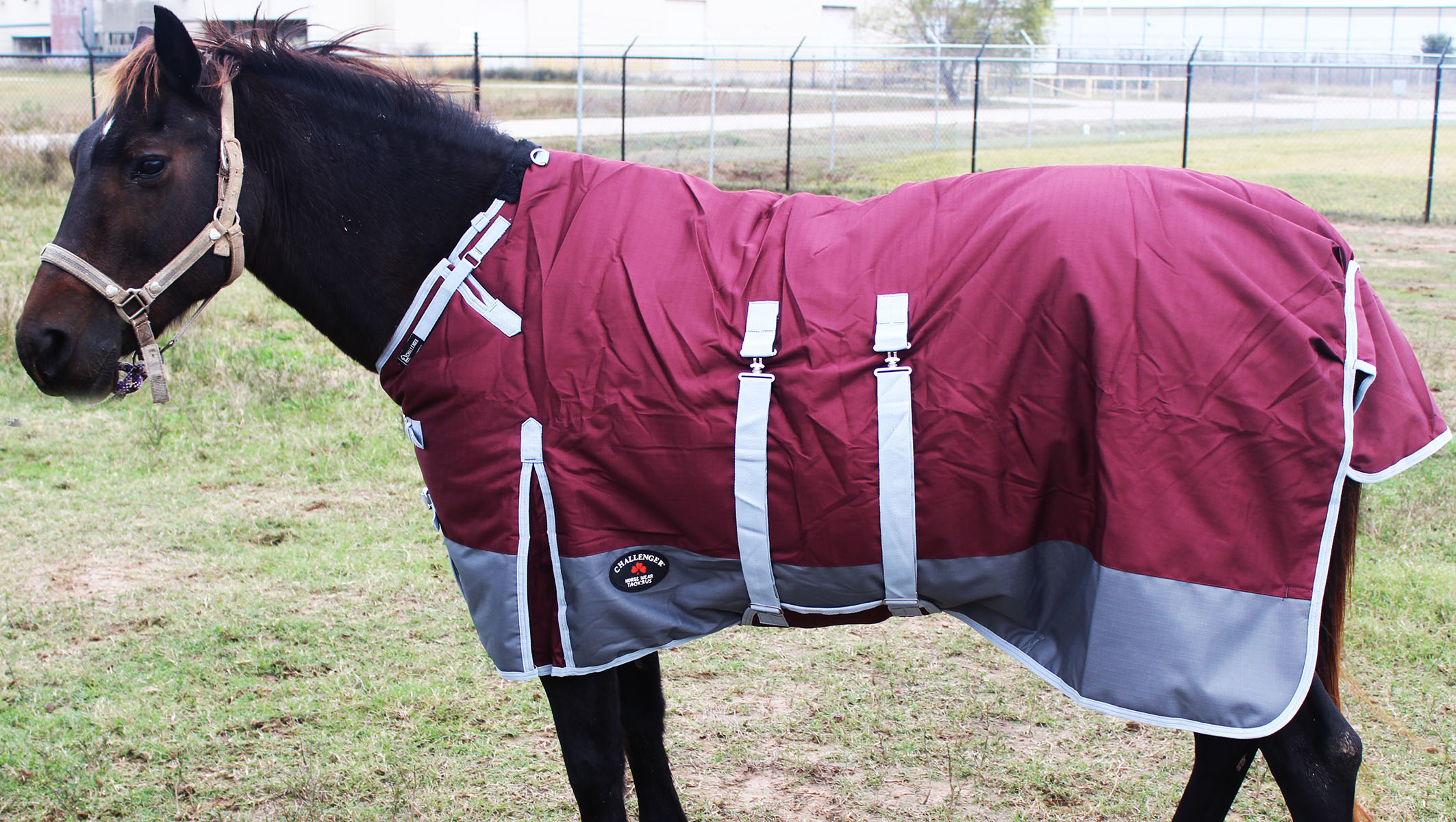 1200D Turnout Waterproof Horse Tough WINTER BLANKET HEAVY BellyBand eBay