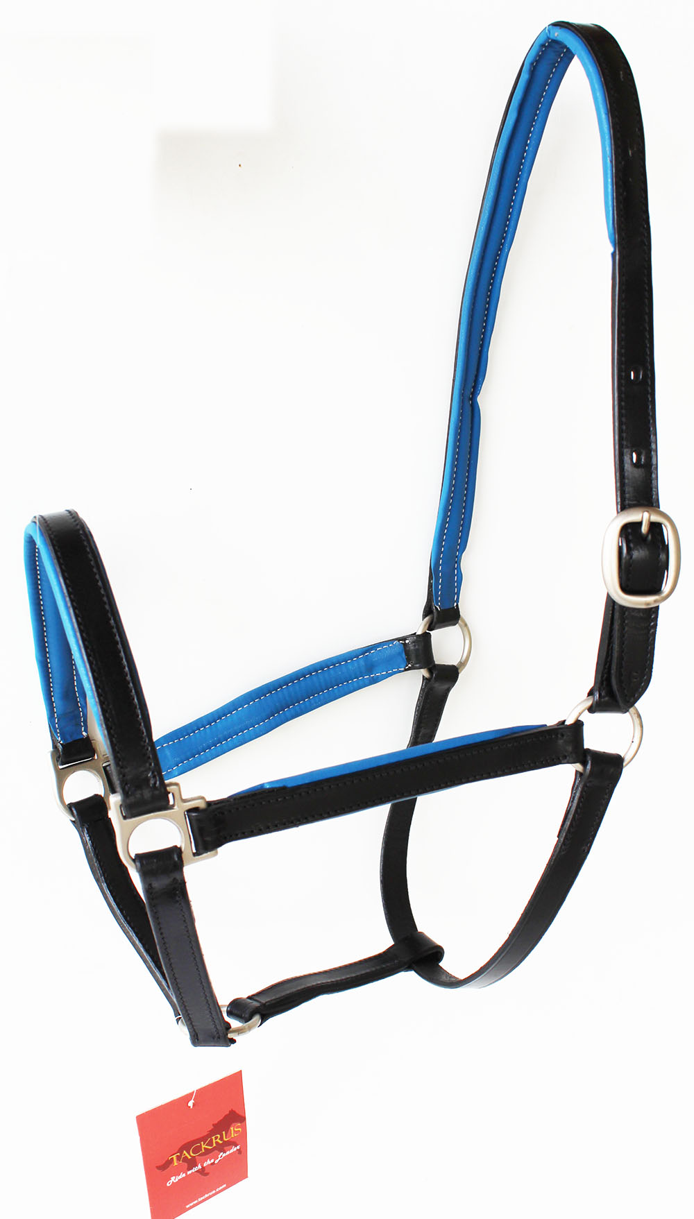 Horse English Padded Leather COB Western Show Halter 803209C Horse English Padded Leather COB Western Show Halter 803209C