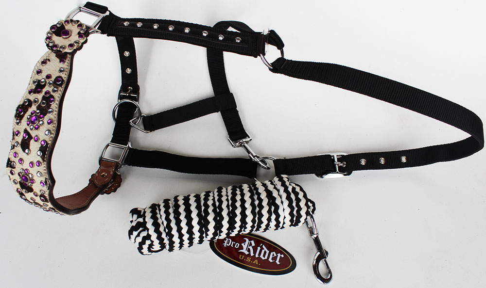 PRORIDER Horse Noseband Tack Bronc Leather Halter Tiedown Lead Rope Red Rodeo 280M8852
