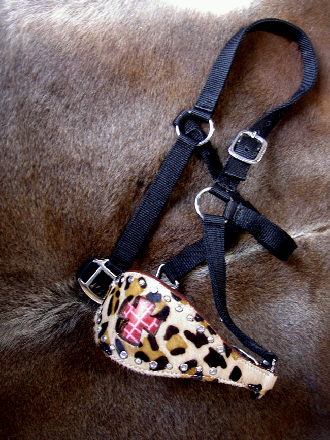 Horse Noseband Tack Bronc Leather HALTER Tiedown Lead Rope 28033 eBay