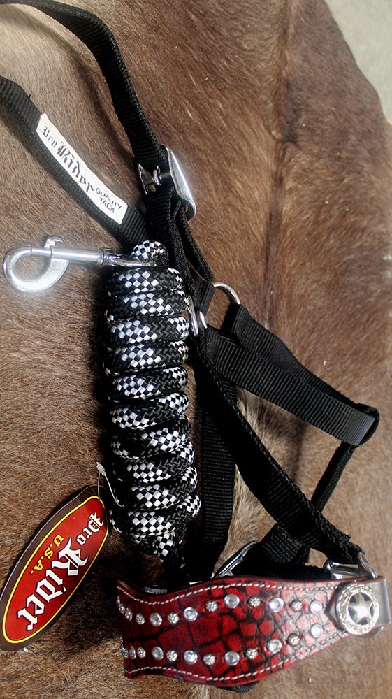Horse Noseband Tack Bronc Leather HALTER Tiedown Lead Rope 280389 eBay