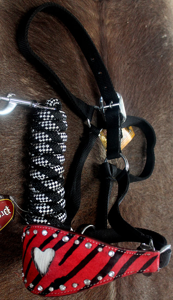 Horse Noseband Tack Bronc Leather HALTER Tiedown Lead Rope 280394 eBay