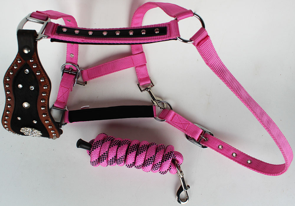 Noseband Tack Bronc Leather HALTER Tiedown Lead Rope Tan 280654 eBay