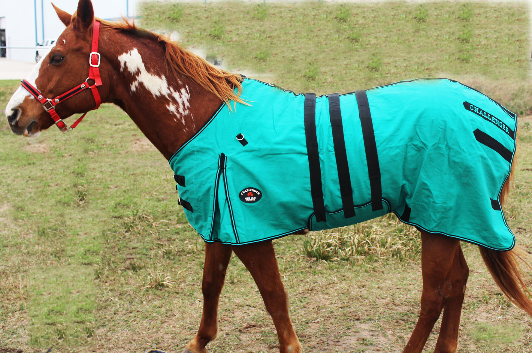 Canvas Duck Turnout Water Resistant Horse Winter Blanket BellyBand 25BB