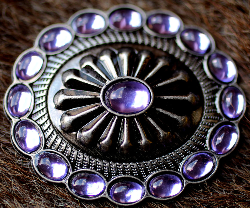 4 Conchos Rhinestone Horse Saddle Western Rodeo Bridle Purple CO05