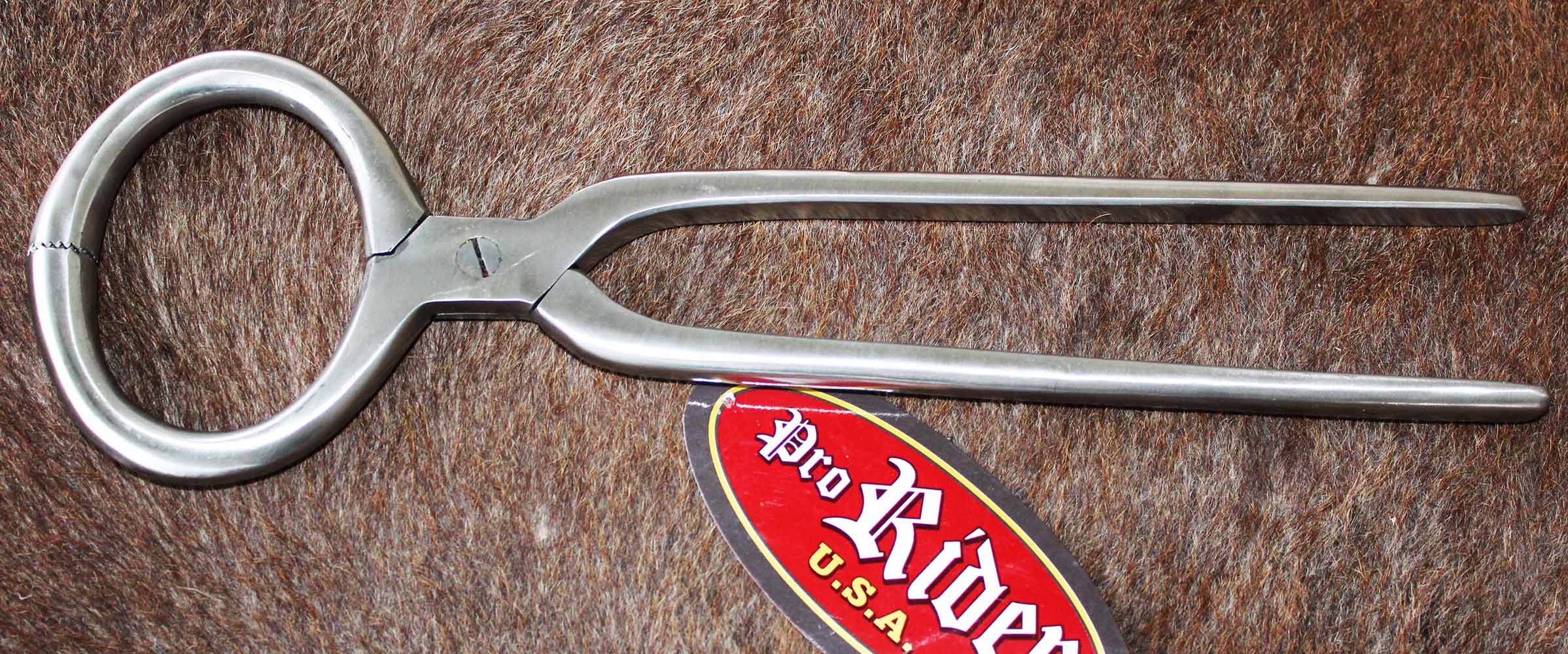 13" Horse Care Farrier Tool Round Stainless Steel Hand Crafted Hoof