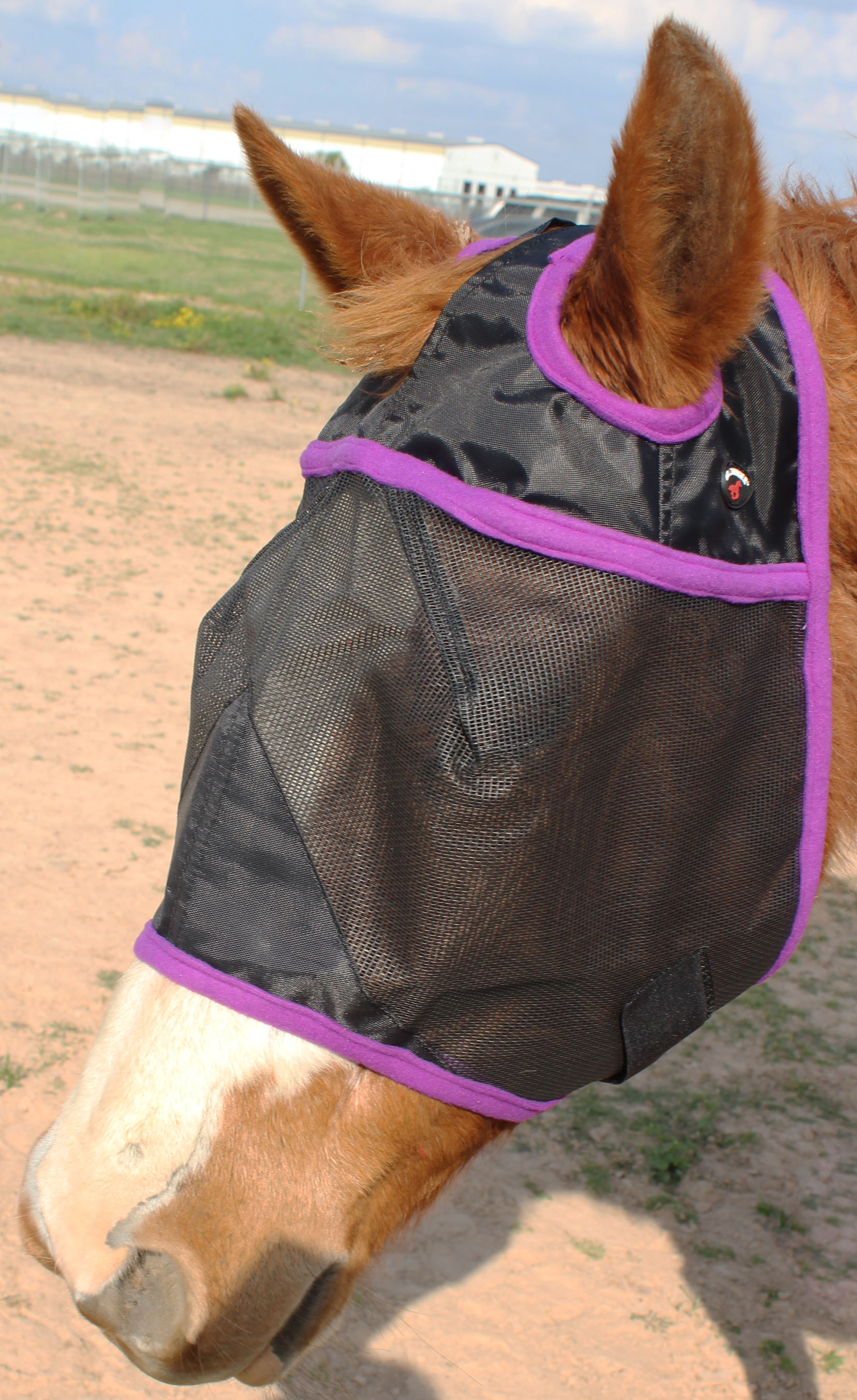 Equine Horse Fly Mask SUMMER Spring Airflow Maille UV moustiques 732102PR