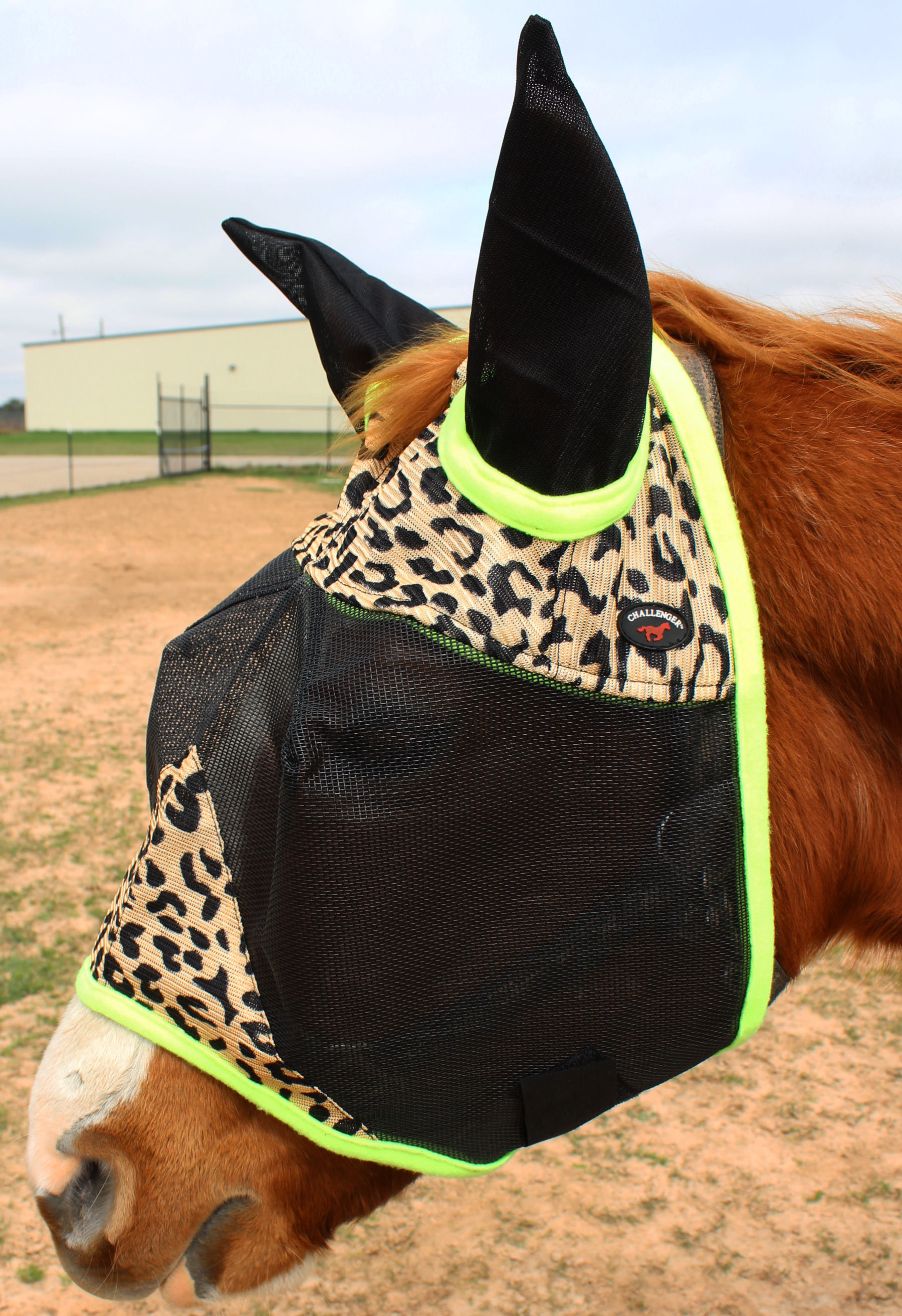 Equine Horse Fly Mask Summer Spring Airflow Mesh UV Mosquitoes Turquoise 73248