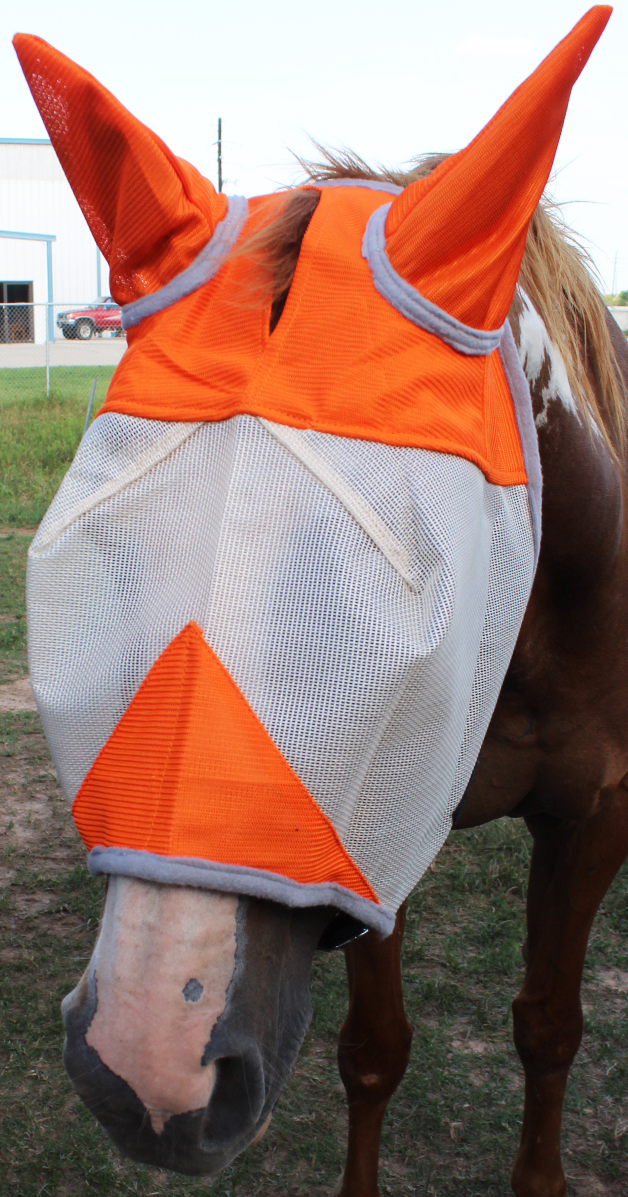Equine Horse Fly Mask Summer Spring Airflow Mesh UV Mosquitoes 7329095