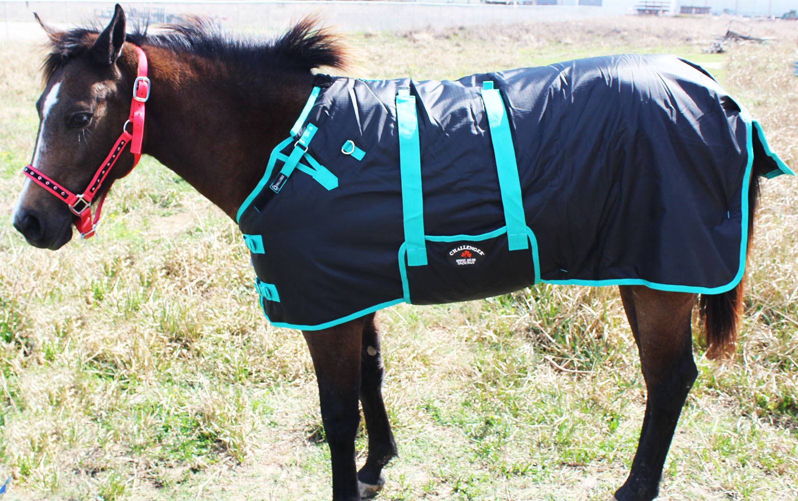 600D Miniature Weanling Donkey Pony Horse Foal Winter Blanket 519600D