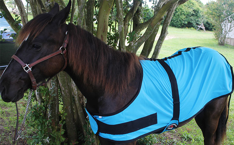 Regular Miniature Weanling Donkey Pony Horse Foal Fly Summer Sheet bluee 51802 Regular Miniature Weanling Donkey Pony Horse Foal Fly Summer Sheet bluee 51802