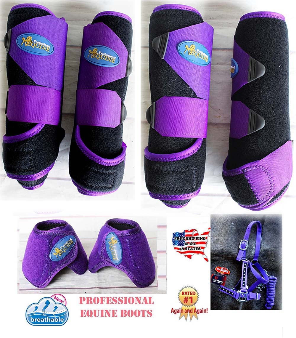 Horse Medium Professional Equine Sports Medicine Splint Boots COMBO