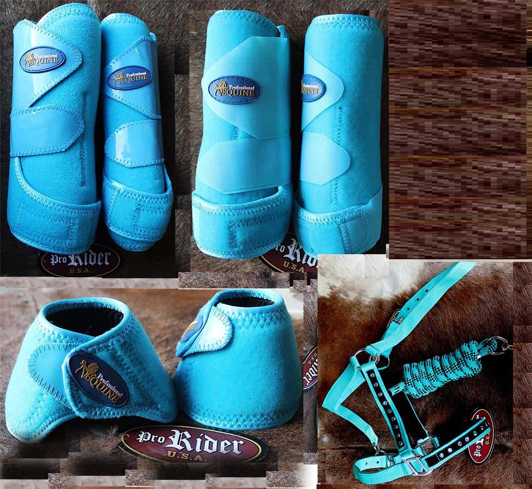 M Professional Equine Sports Medicine Horse Splint Boots Turquoise
