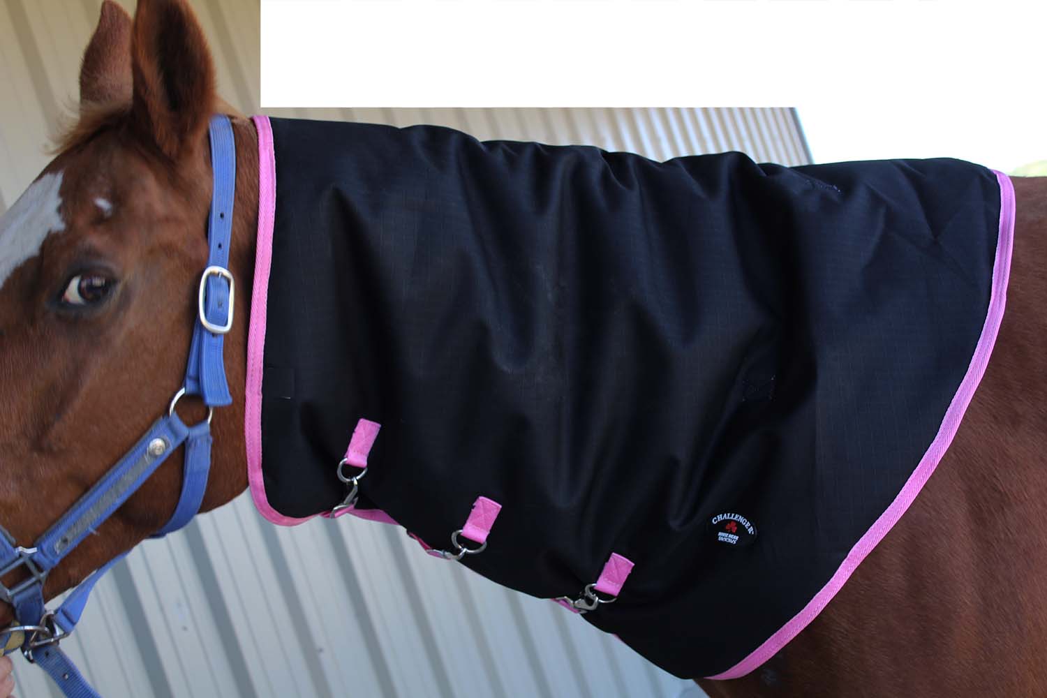 Horse 1200D Waterproof Winter Mane Neck Cover Challenger Blanket 52011