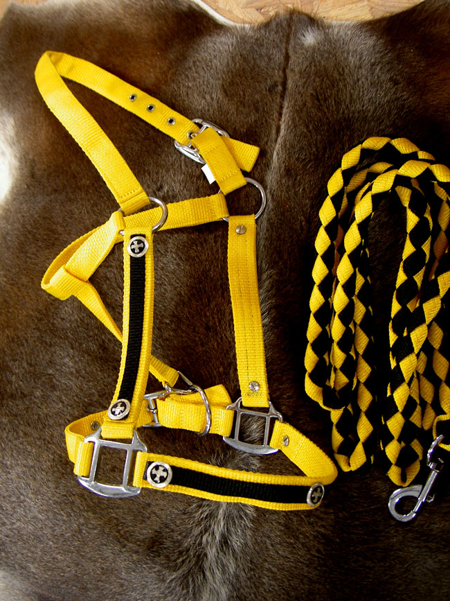 Nylon Horse Halter & LEAD ROPE SILVER YELLOW TACK CROSS NH39 eBay