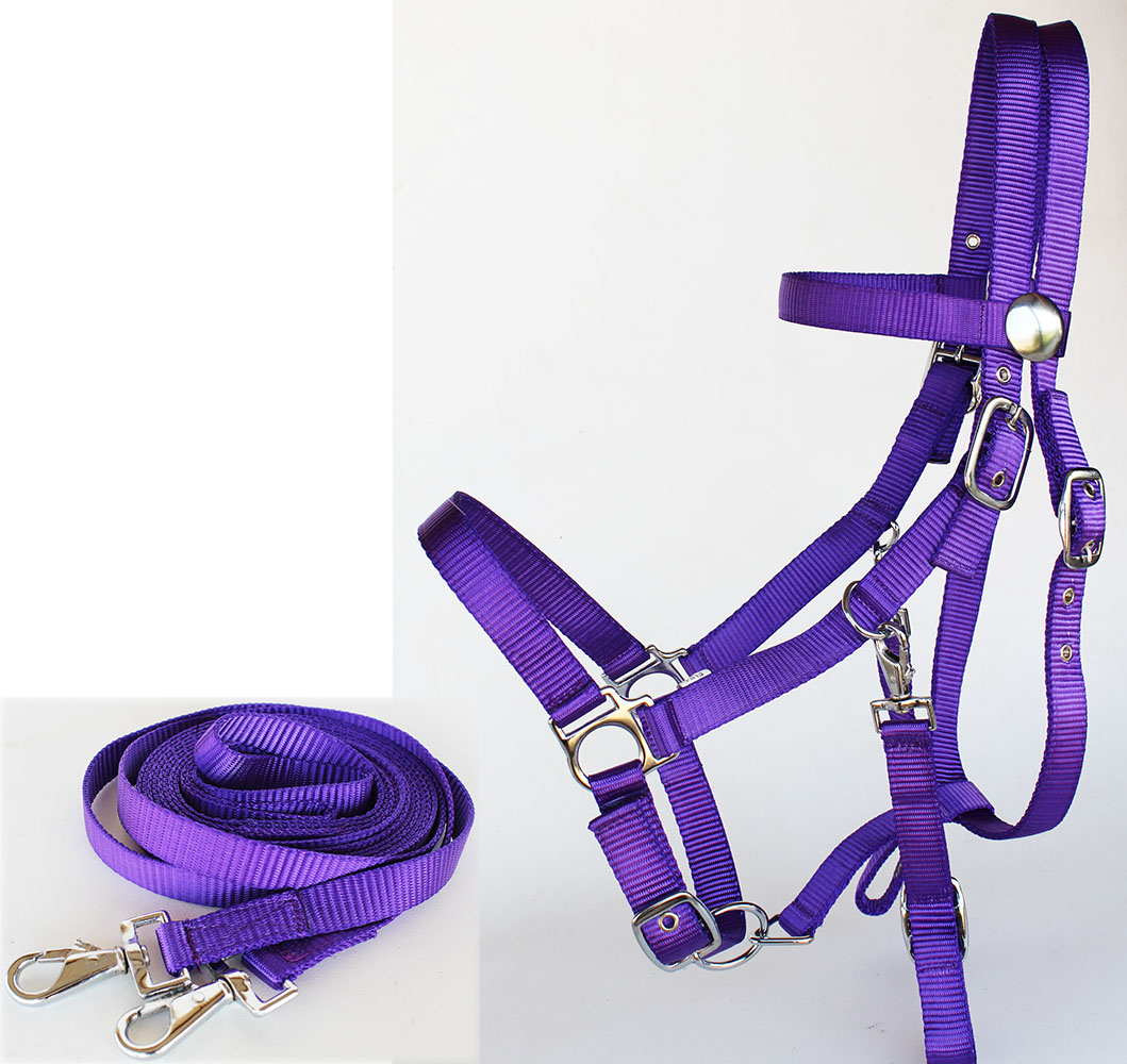 English Western Horse Nylon Bitless Bridle Sidepull Halter Reins Purple