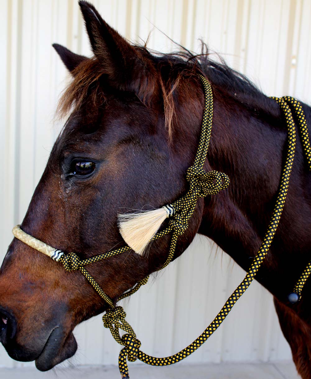 Nylon Braided Horse Rope HALTER Lead Rope Noseband Tack Equine Rodeo
