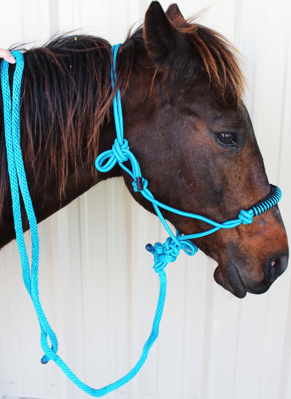 Nylon Braided Horse Rope HALTER Lead Rope Noseband Tack Equine Rodeo
