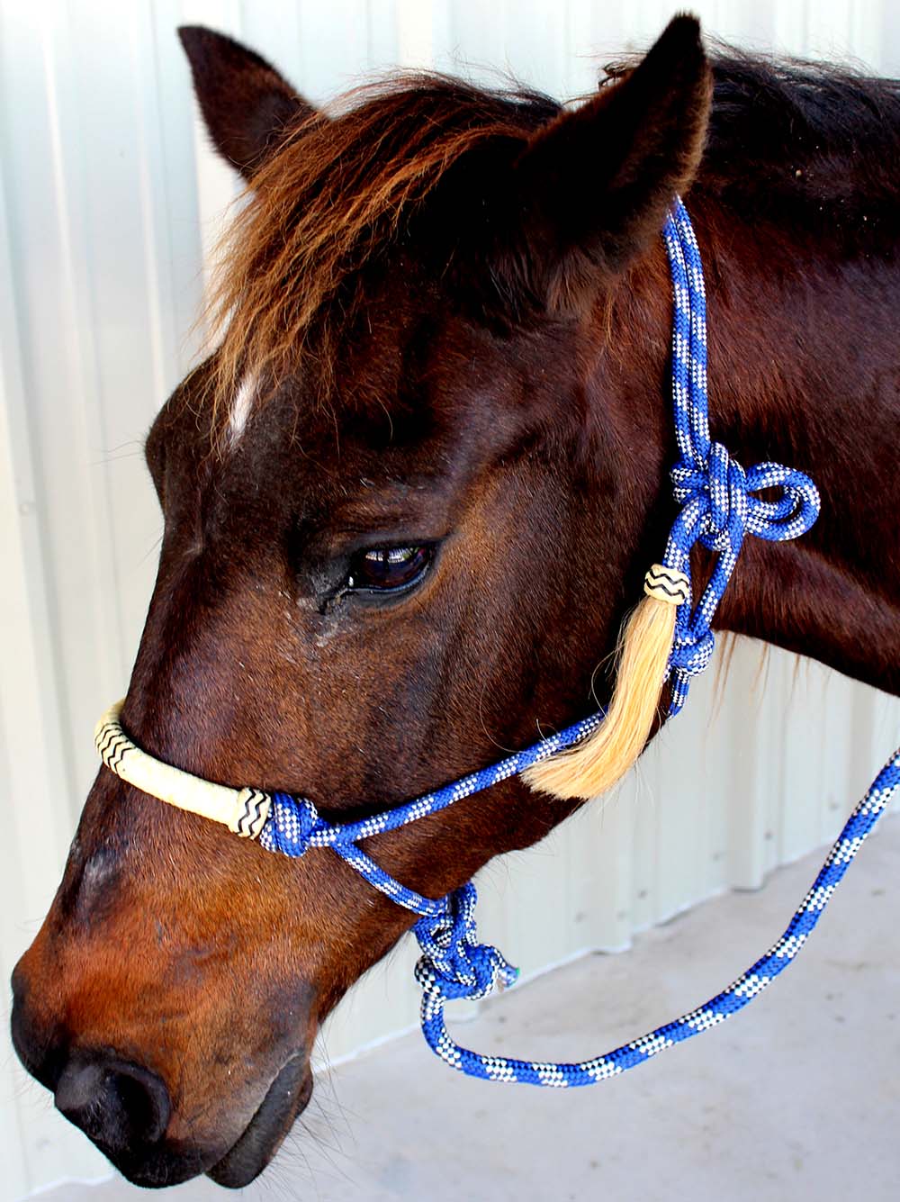 Nylon Braided Horse Rope HALTER Lead Rope Noseband Tack Equine Rodeo
