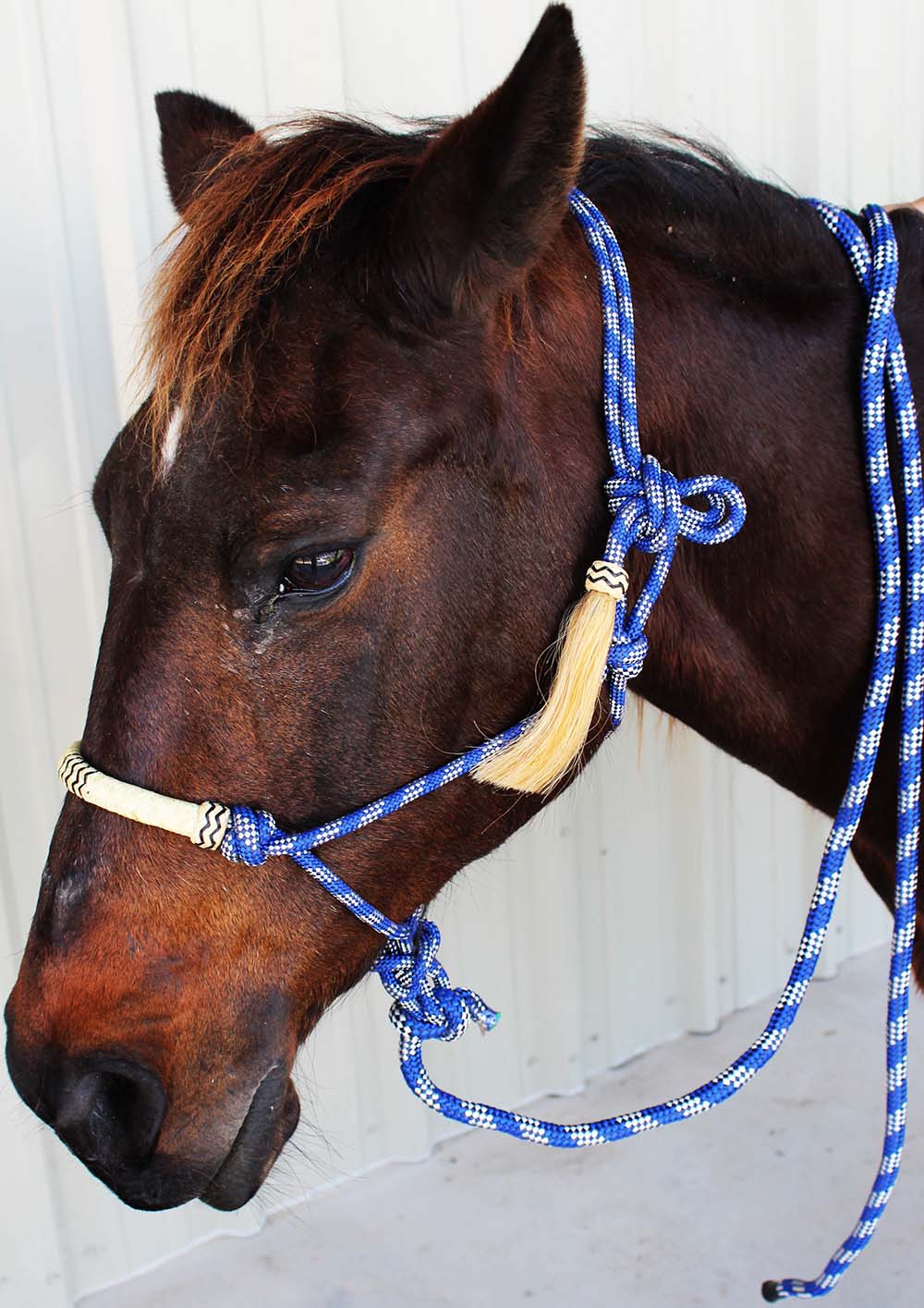 Nylon Braided Horse Rope HALTER Lead Rope Noseband Tack Equine Rodeo 606156159