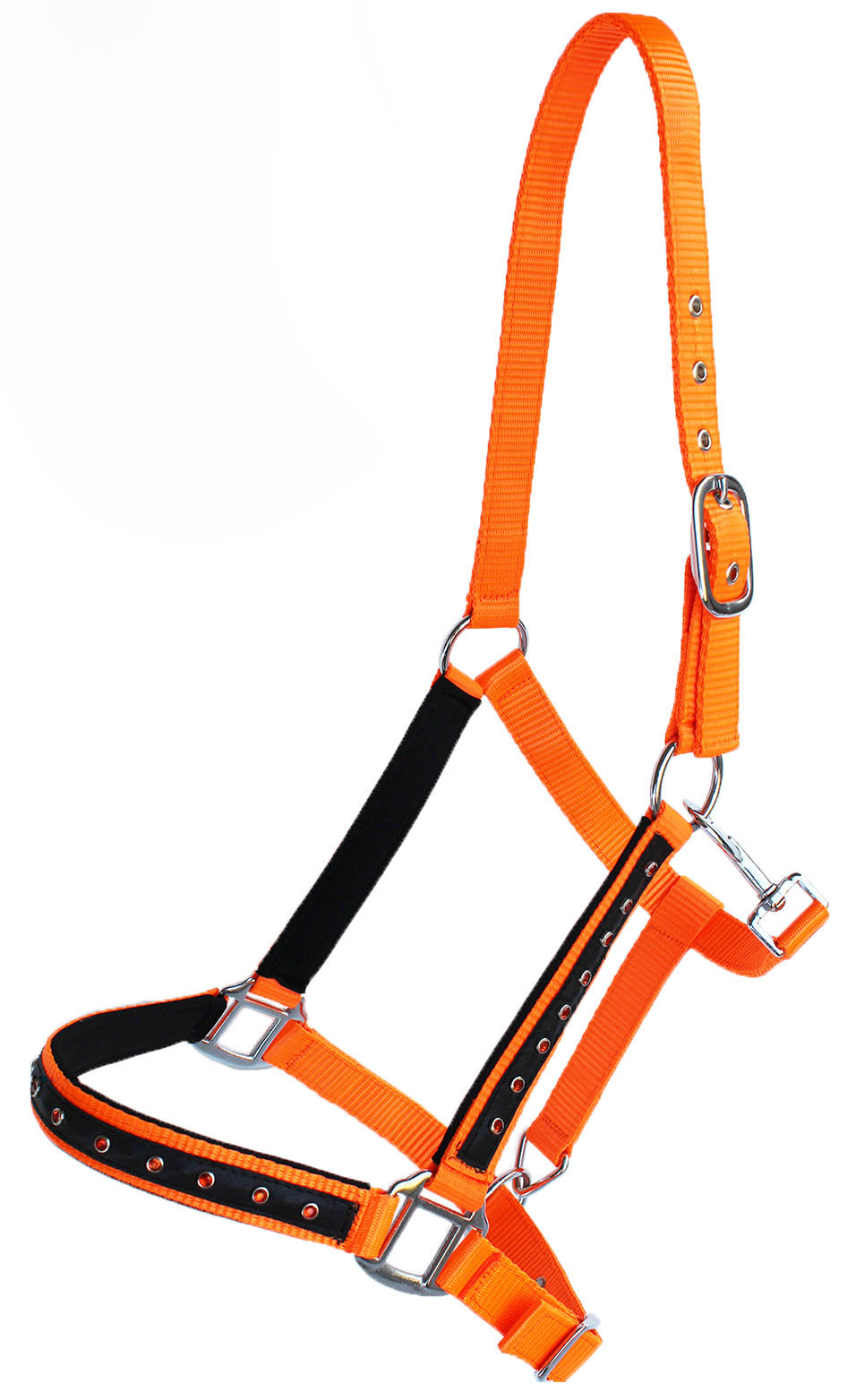 Nylon Horse Halter Hardware Padded Lead Rope Tack Rodeo Bling 606162 eBay