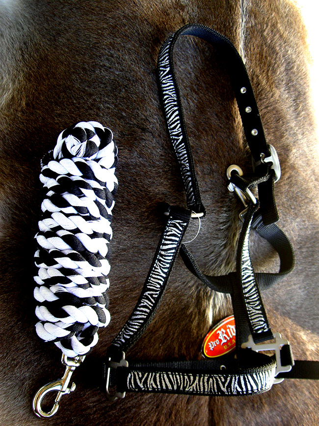 Nylon Horse HALTER Lead Rope Bling Tack 60669 eBay