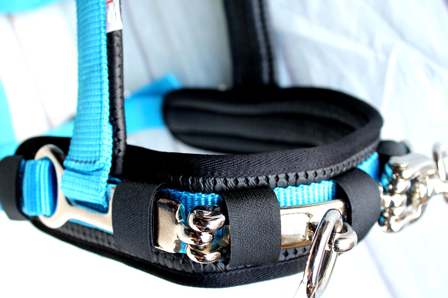 Nylon Lunge Padded Cavesson Halter Horse Tack Turquoise 606F03 eBay