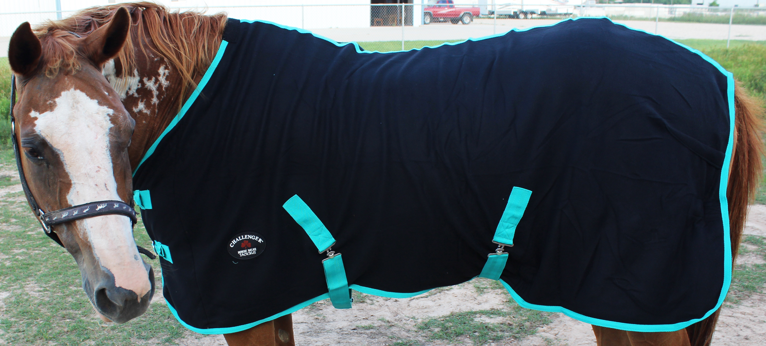 Horse Exercise Sheet Polar FLEECE COOLER Blanket Wicks Moisture