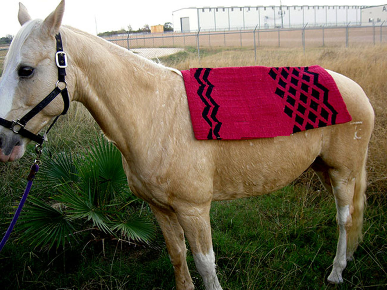 34 x 36 Horse Wool Western Show Trail Saddle Blanket Rodeo Pad Brown 36284