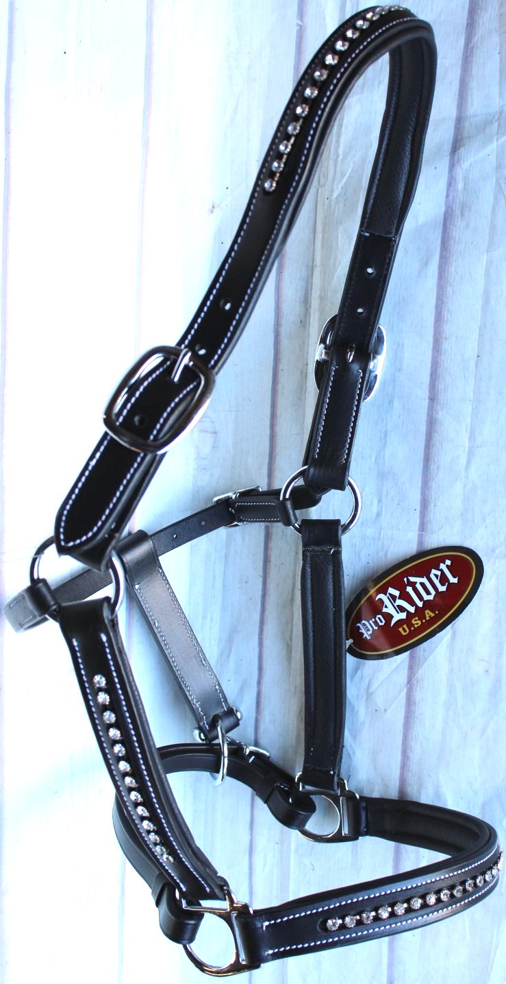 Horse Riding Leather English Black Halter with Bling 927MT03P eBay