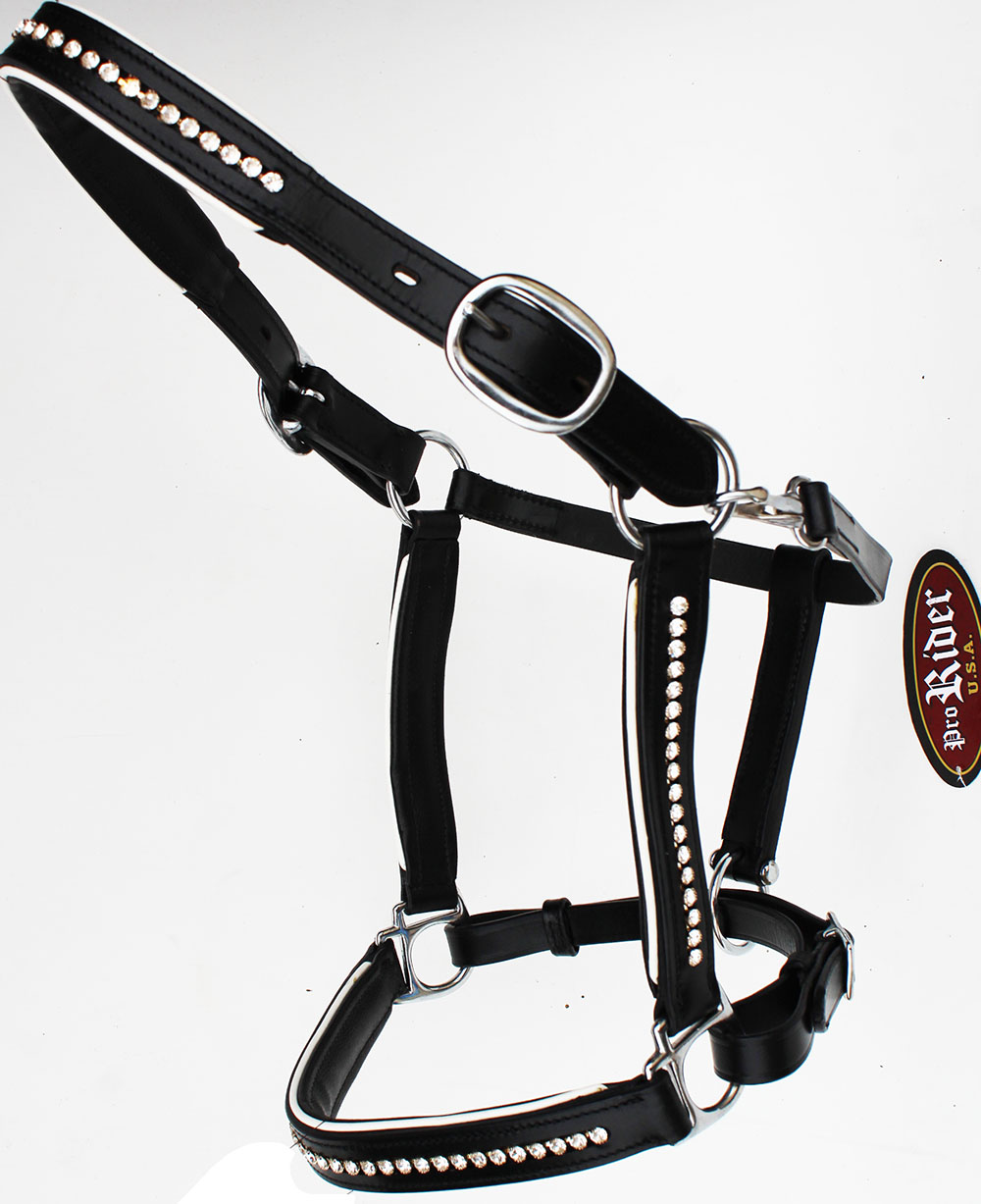 Horse Riding Leather English Black Halter Bling 927MT11P eBay