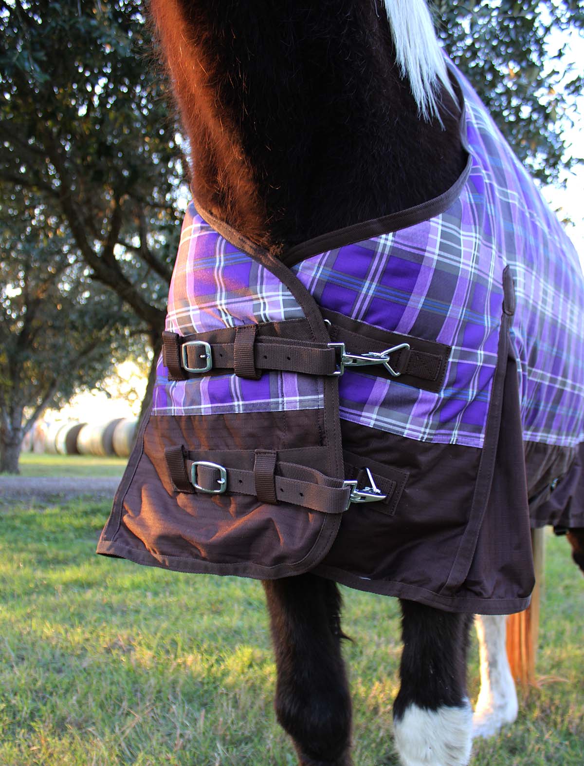 68HI Hilason 600D Winter Waterproof Pony Horse Turnout Blanket Purple