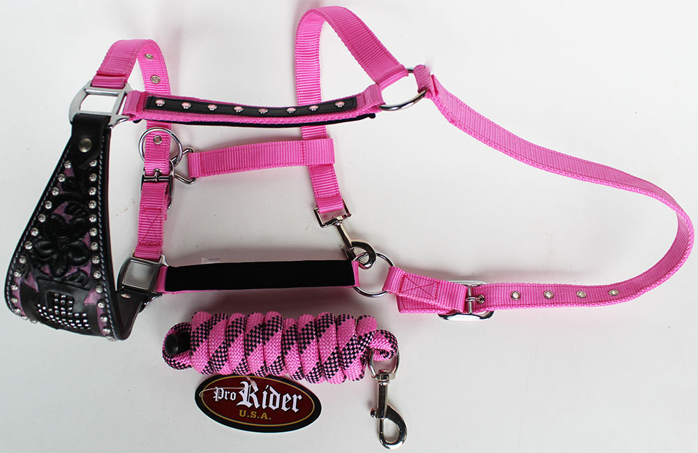 Horse Noseband Tack Bronc Leather HALTER Tiedown Lead Rope 280615 - Picture 1 of 3