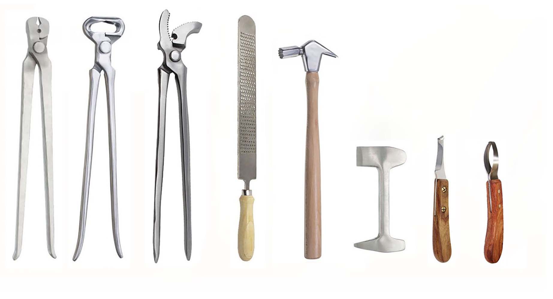 8 Stück Pferd Schuh Hufschmied Huf Pflege Werkzeug Zange Kit mit Ledertasche 98499C - Bild 3 von 5