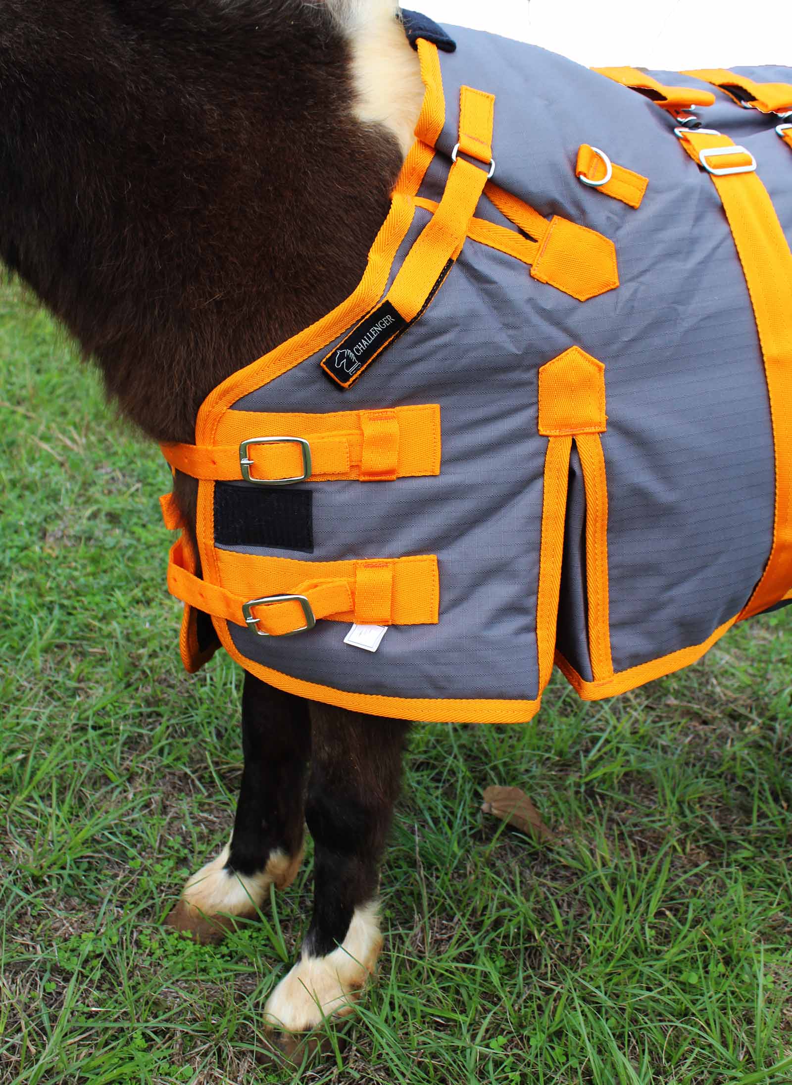 Miniature Horse Winter Rugs Two Birds Home